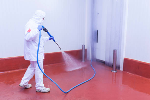 Best House Exterior Washing  in Columbia City, OR